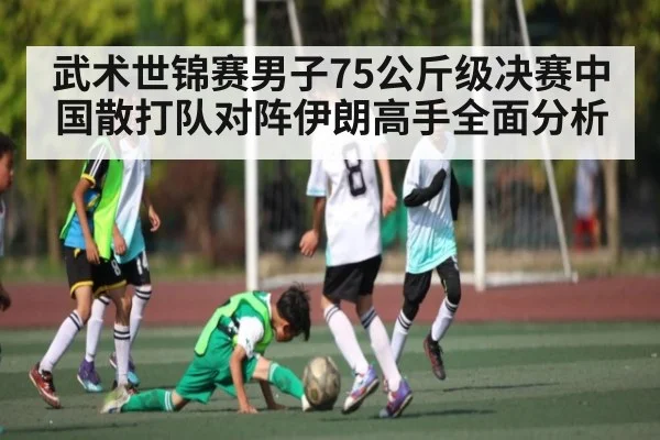 武术世锦赛男子75公斤级决赛中国散打队对阵伊朗高手全面分析